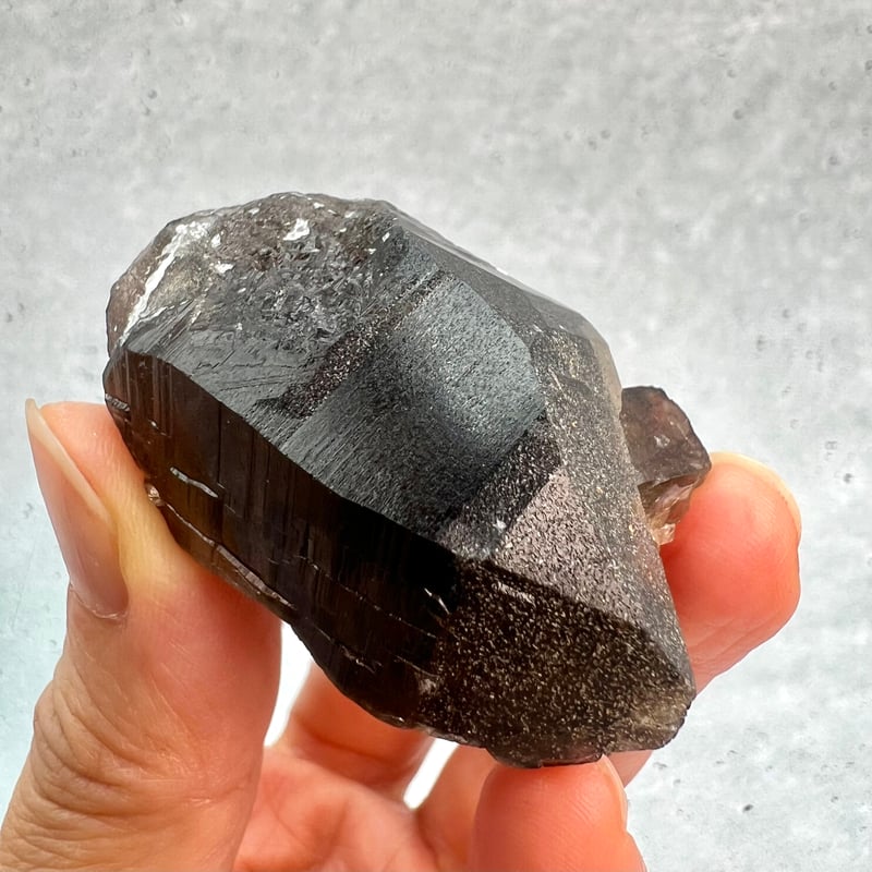 ガウリシャンカール産】天然ヒマラヤスモーキークォーツ