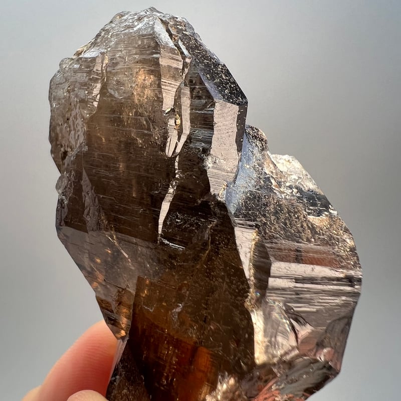 ガウリシャンカール産】天然ヒマラヤスモーキークォーツ