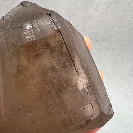 【ガウリシャンカール産】天然ヒマラヤスモーキークォーツ "ガネーシャ"/Gaurishankar HimalayanSmoky "Ganesha"
