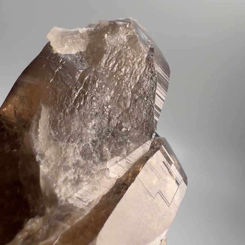 ガウリシャンカール産】天然ヒマラヤスモーキークォーツクラスター