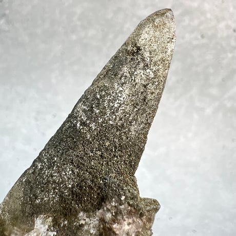 【ガネッシュヒマール産】クローライトイン天然ヒマラヤ水晶/Ganesh Himal Chlorite in Himalayan Quartz