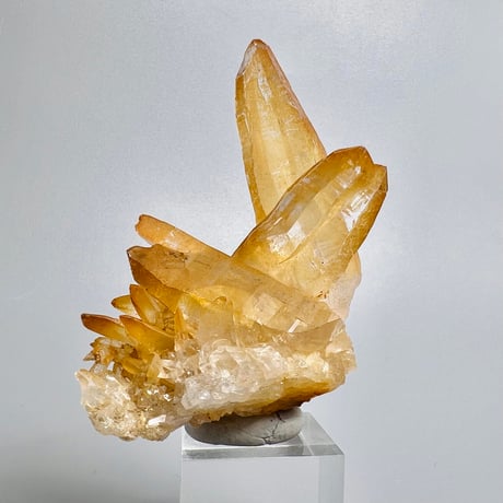【ガネッシュヒマール産】リモナイトイン天然ヒマラヤ水晶/Ganesh Himal Limonite in Himalayan Quartz