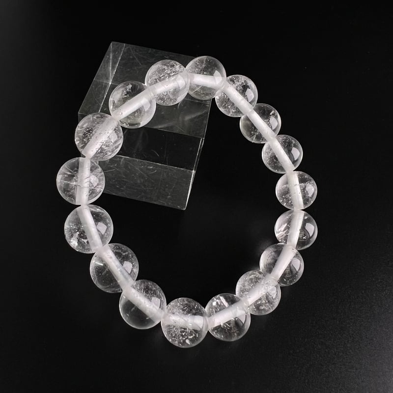 アクアプラント 根付 亀玉 マタマタ根付 - アクアプラント≪ネイチャー