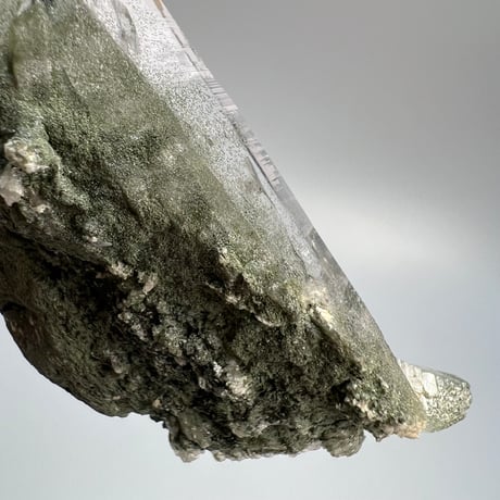 【ガネッシュヒマール産】クローライトイン天然ヒマラヤ水晶/Ganesh Himal Chlorite in Himalayan Quartz