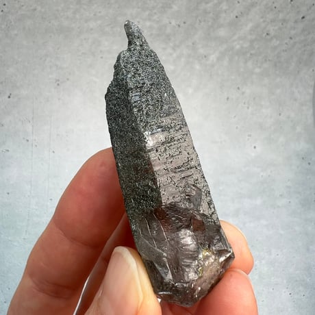 【ガネッシュヒマール産】クローライトイン天然ヒマラヤ水晶ポイント/Ganesh Himal Chlorite in Himalayan Quartz Point