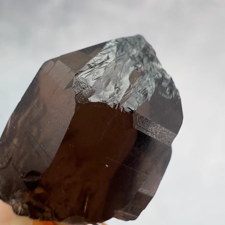 【ガウリシャンカール産】天然ヒマラヤスモーキークォーツ バチカン付きペンダントトップ②/Gaurishankar Himalayan Smoky Silver925 pendant top