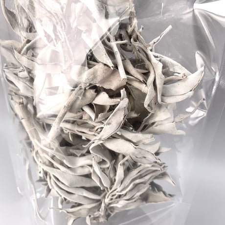 浄化用"ホワイトセージ"White Sage