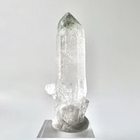 【マナスル産】クローライトイン天然ヒマラヤ水晶ポイント/Manaslu Chlorite in Himalayan Quartz Point