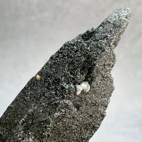 【ガネッシュヒマール産】クローライトイン天然ヒマラヤ水晶ポイント/Ganesh Himal Chlorite in Himalayan Quartz Point