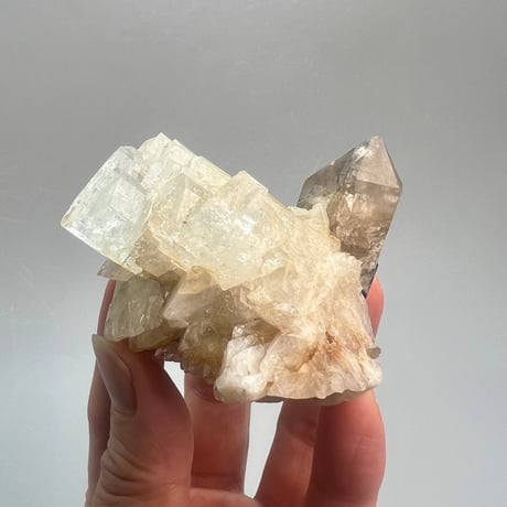 レア✨️【ガウリシャンカール産】天然ヒマラヤスモーキークォーツ   アデュラリア共生/GauriShankar Himalayan Smoky Quartz with Aduraria