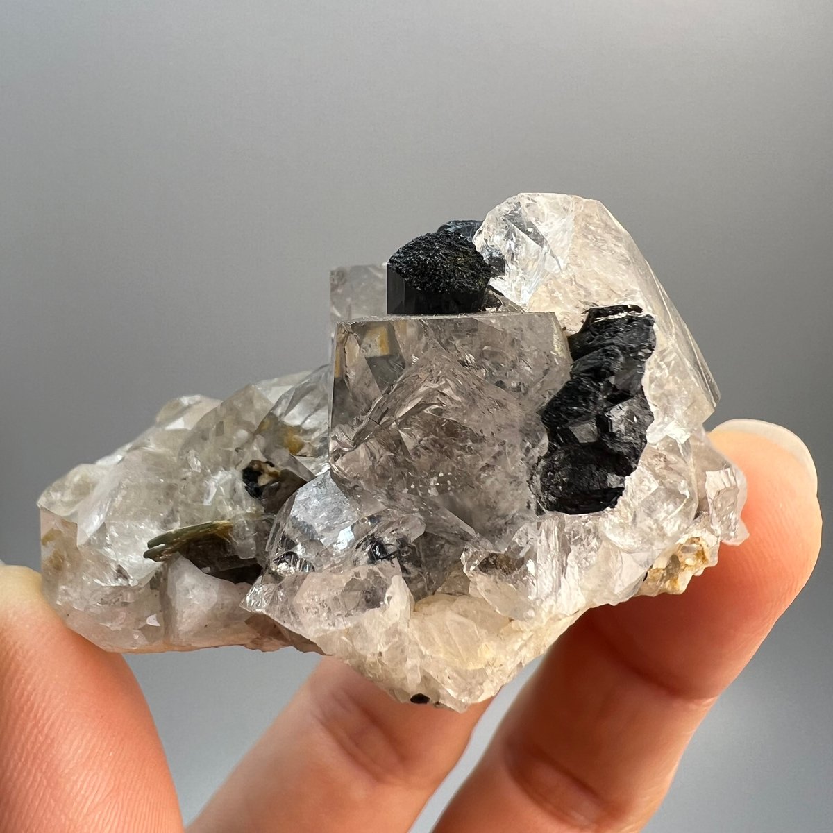 ガネッシュヒマール産】ブラックトルマリンイン天然ヒマラヤ水晶