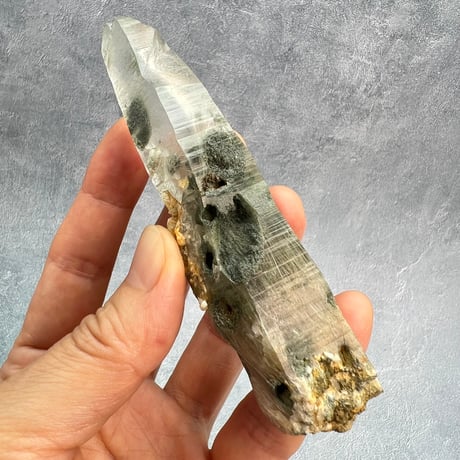 【ガネッシュヒマール産】クローライト&アクチノライトイン天然ヒマラヤ水晶/Ganesh Himal Chlorite&Actinorite in Himalayan Quartz