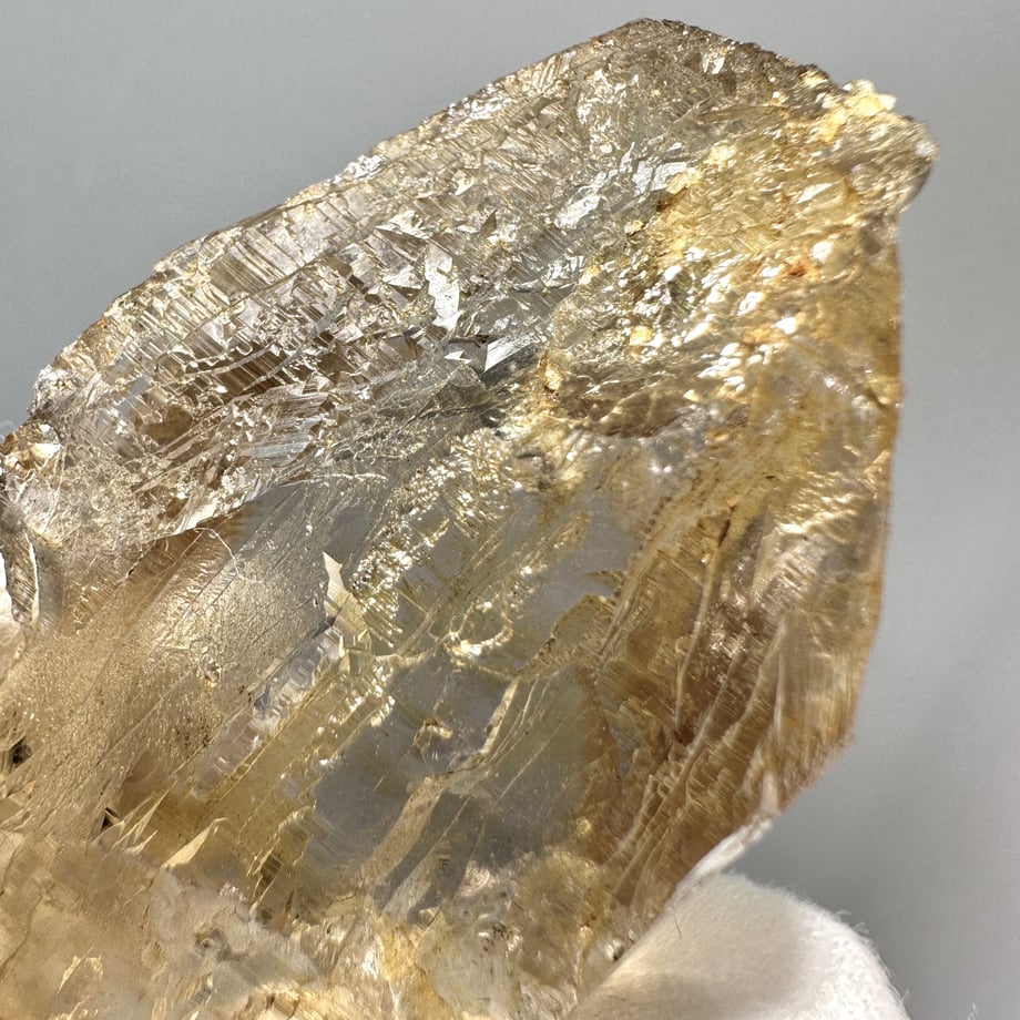 6411774288afc1002a8b9db5