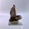 ガウリシャンカール産天然ヒマラヤスモーキークォーツ/Gaurishankar Himalayan Smoky Quartz Point