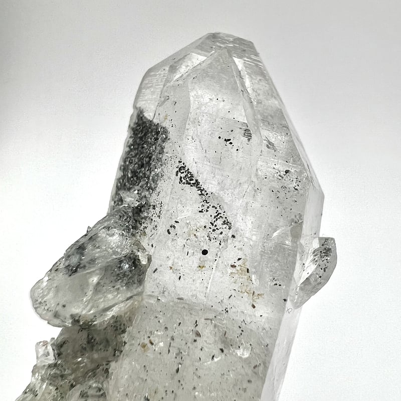 マナスル産クローライトインヒマラヤ水晶ポイント1⃣/Manaslu Chlorite 