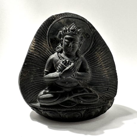 Ammonite Vajrasatva "アンモナイト ヴァジュラサットヴァ"