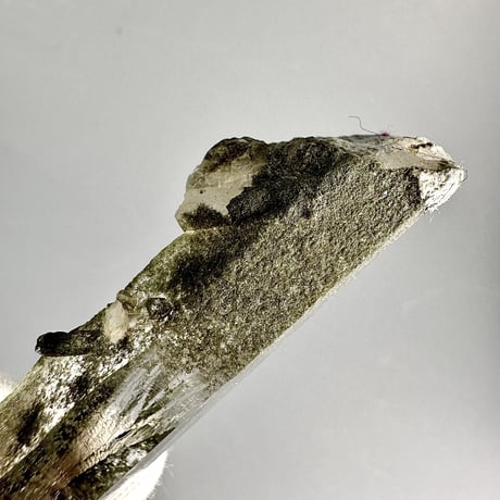 【ガネッシュヒマール産】クローライトイン天然ヒマラヤ水晶ミニポイント"L"/Ganesh Himal Chlorite in Himalayan Quartz Point