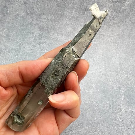 【ガネッシュヒマール産】クローライトイン天然ヒマラヤ水晶/Ganesh Himal Chlorite in Himalayan Quartz