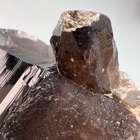 ガウリシャンカール産天然ヒマラヤ水晶クラスター/GauriShankar Himalayan Smoky Quartz Cluster