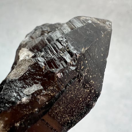 【ガウリシャンカール産】天然ヒマラヤスモーキークォーツ"D" /GauriShankar Himalayan Smoky Quartz