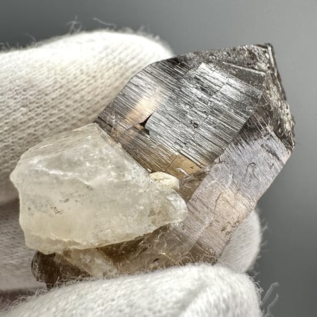 ガウリシャンカール産天然ヒマラヤスモーキークォーツポイント/GauriShankar Himalayan Smoky Quartz
