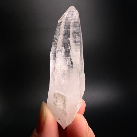 CATEGORY Annapurna / アンナプルナ産 | RUNTA