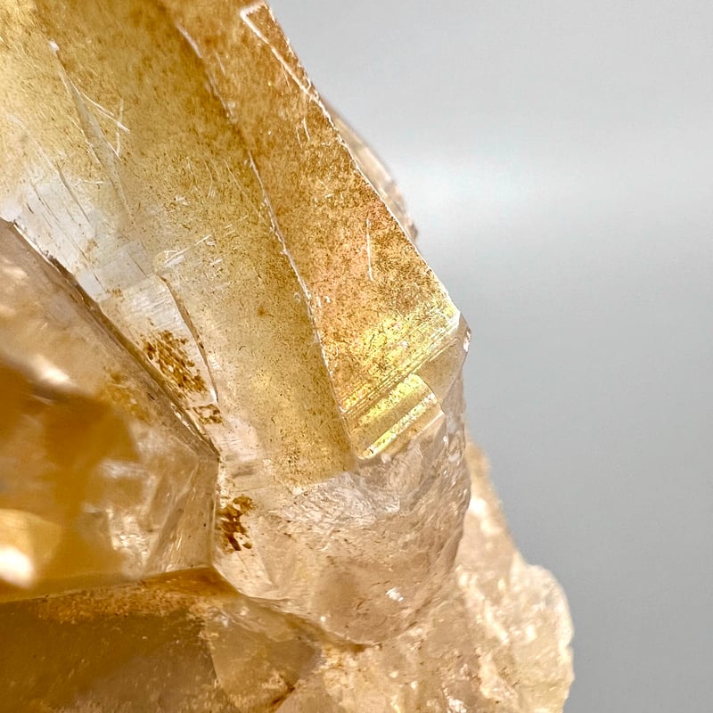 ガネッシュヒマール産リモナイトインヒマラヤ水晶/Ganesh Himal