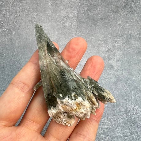 【ガネッシュヒマール産】アクチノライト&クローライトイン天然ヒマラヤ水晶/Ganesh Himal Actinorite&Chloritet in Himalayan Quartz