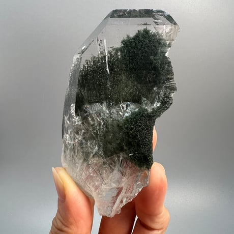 【ガネッシュヒマール産】クローライト&アクチノライトイン天然ヒマラヤ水晶/Ganesh Himal Himalayan Quartz