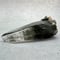 【ガネッシュヒマール産】クローライトイン天然ヒマラヤ水晶/Ganesh Himal Chlorite in Himalayan Quartz Point