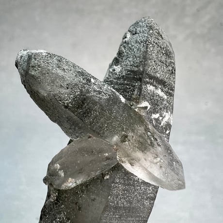 【ガネッシュヒマール産】クローライトイン天然ヒマラヤ水晶ポイント/Ganesh Himal Chlorite in Himalayan Quartz Point
