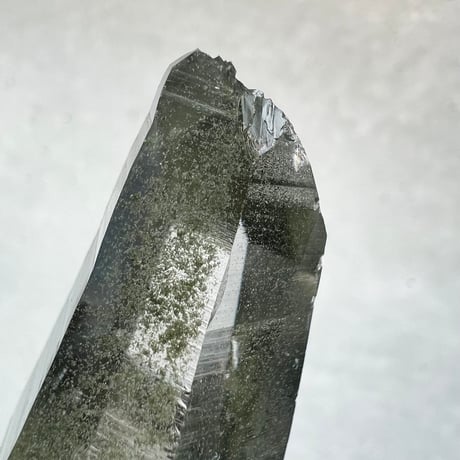 【ガネッシュヒマール産】クローライトイン天然ヒマラヤ水晶/Ganesh Himal Chlorite in Himalayan Quartz Point