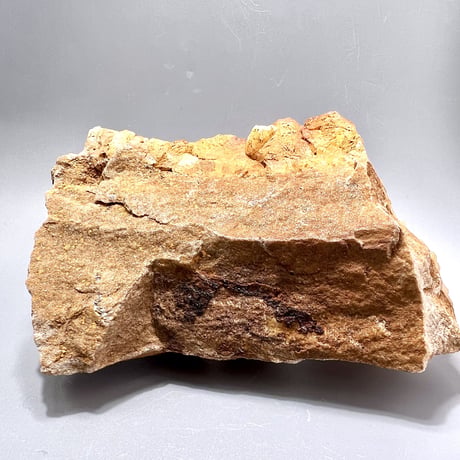 【ガネッシュヒマール産】リモナイトイン天然ヒマラヤ水晶クラスター/ Ganesh Himal Limonite in Himalayan Quartz Cluster