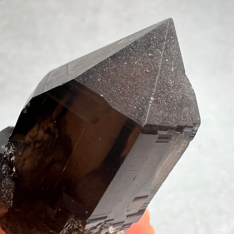【ガウリシャンカール産】天然ヒマラヤスモーキークォーツ/GauriShankar Himalayan Smoky Quartz
