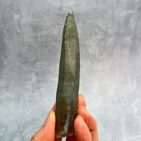 【ガネッシュヒマール産】クローライトイン天然ヒマラヤ水晶/Ganesh Himal Chlorite in Himalayan Quartz