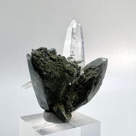 【ガネッシュヒマール産】クローライトイン天然ヒマラヤ水晶ミニクラスター/Ganesh Himal  Chlorite in Himalayan Quartz Mini Cluster