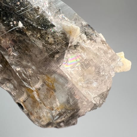 大特価【ガネッシュヒマール産】クローライトイン天然ヒマラヤ水晶/Ganesh Himal Chlorite in Himalayan Quartz