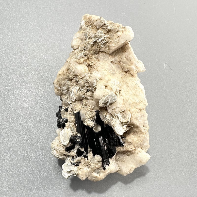 ネパール産化石　サリグラム　希少金属が付着してる ネパール産化石 サリグラム 希少金属が付着してる IMG_7147_tt.jpg