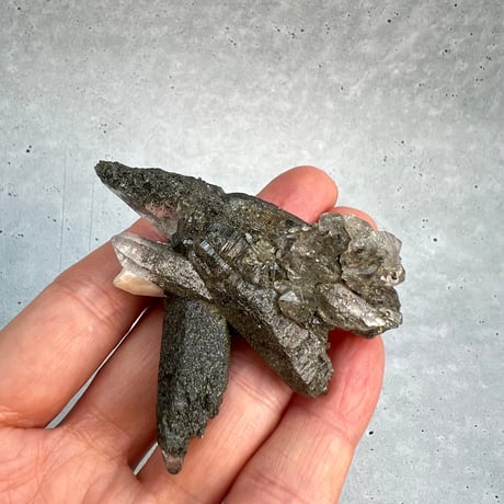 【ガネッシュヒマール産】クローライトイン天然ヒマラヤ水晶クラスター/Ganesh Himal Chlorite in Himalayan Quartz Cluster
