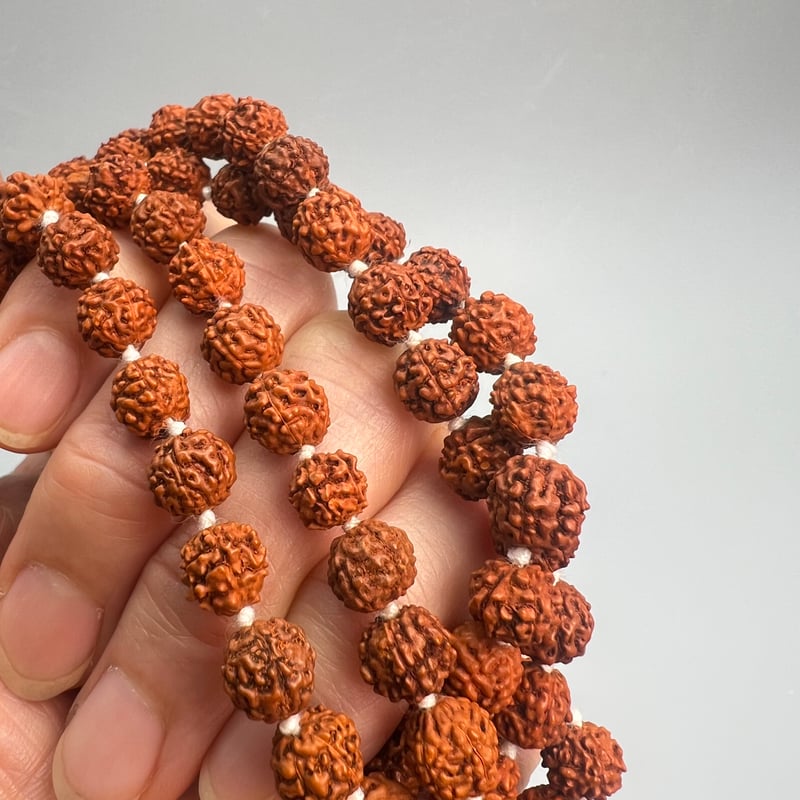 ヒマラヤ水晶×菩提樹(ルドラクシャ)　マーラー ルドラクシャマーラー（菩提樹の実の数珠） - Crystal Lagoon