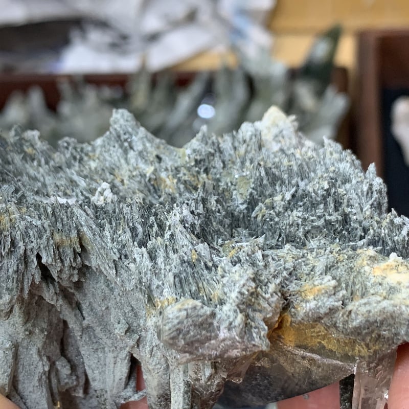 ガネッシュヒマール産】クローライト(緑泥石)&アクチノライト(緑閃石