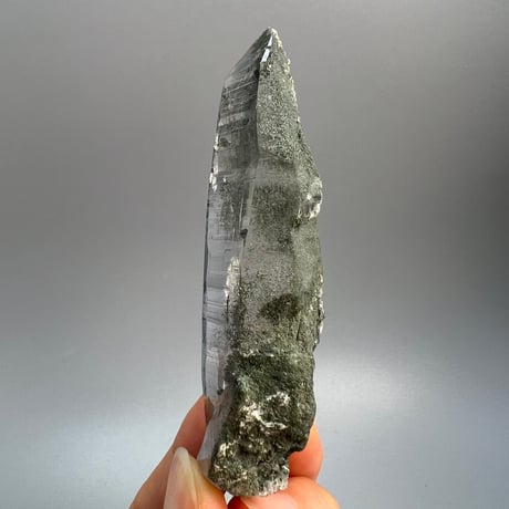 【ガネッシュヒマール産】クローライトイン天然ヒマラヤ水晶/Ganesh Himal Chlorite in Himalayan Quartz