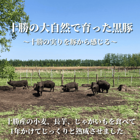 【ギフト】十勝放牧黒豚無添加生ソーセージ＆豚ジンギスカン焼肉セット！