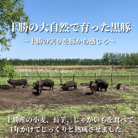 【ギフト】十勝放牧黒豚しゃぶしゃぶ＆無添加生ソーセージ3種ギフト