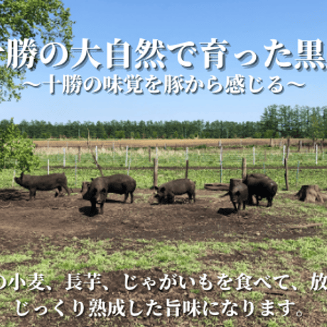 【ギフト】自然放牧で育てた黒豚のしゃぶしゃぶ＆ジンギスカンのセット