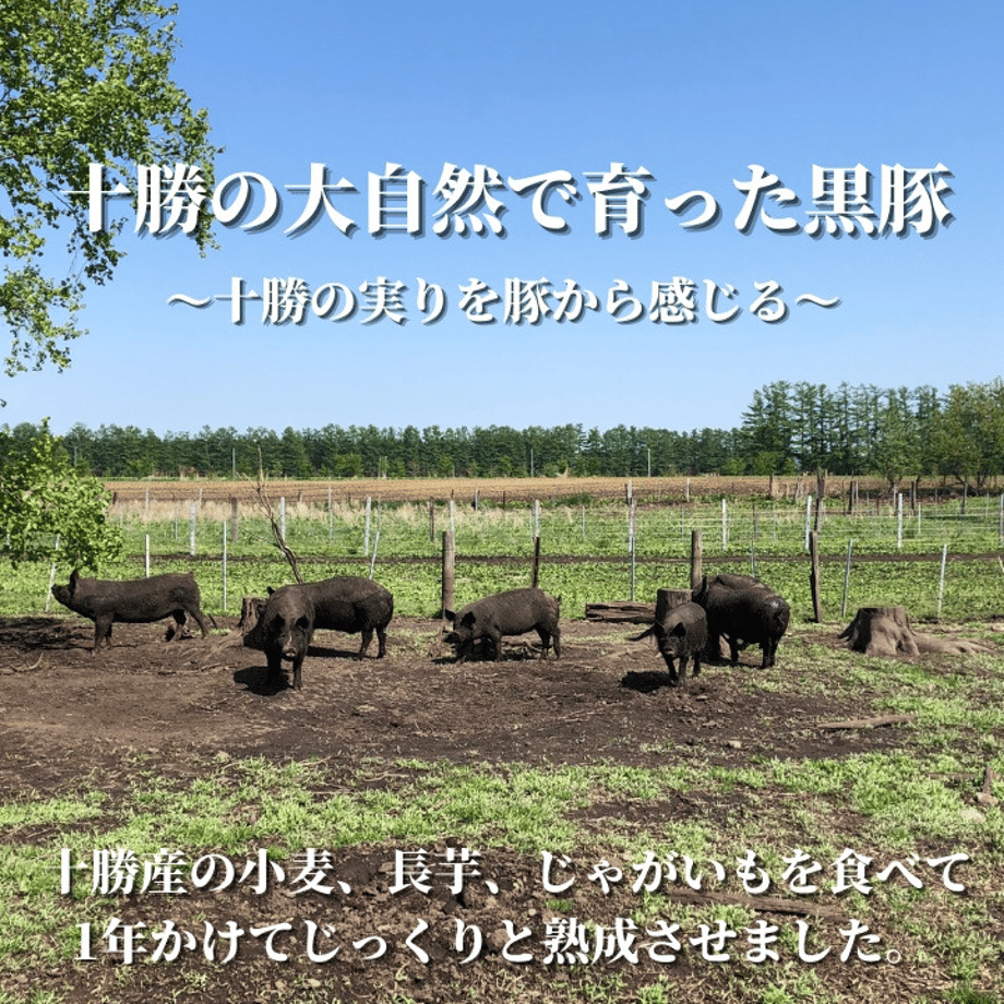 619c15ba570f671d3426f510