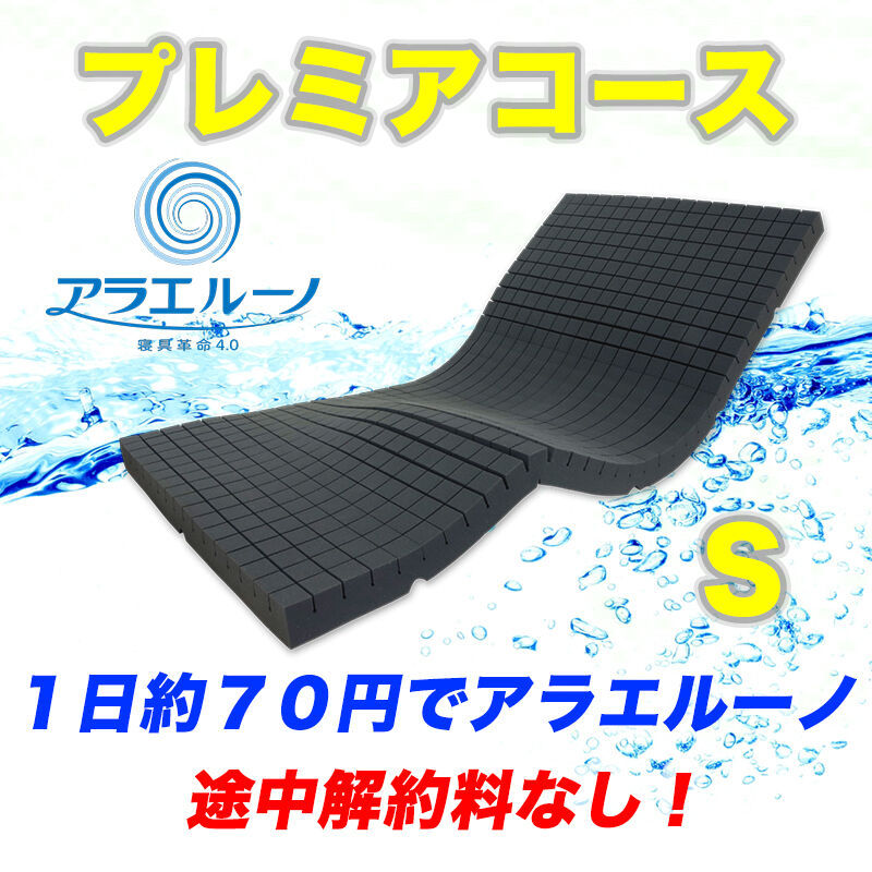 プレミアコース】アラエルーノ シングル 2,200円/月 | ARAERUNO ONLINE