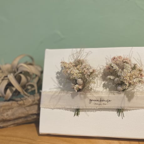 杏色のキャンパス dried flower