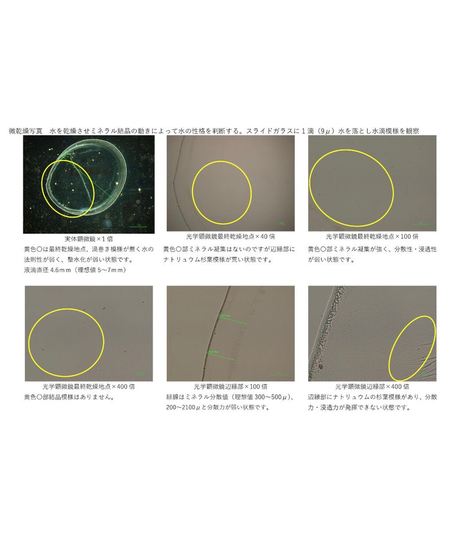 627a5d56c5f8761bf02fe179