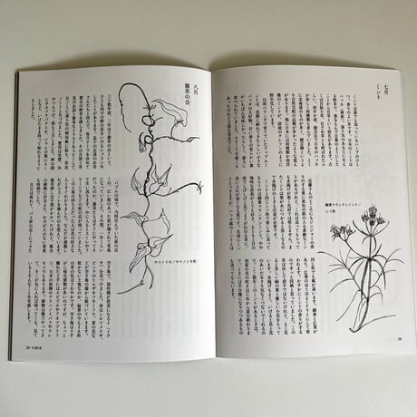 横山美恵子著 草花ノート